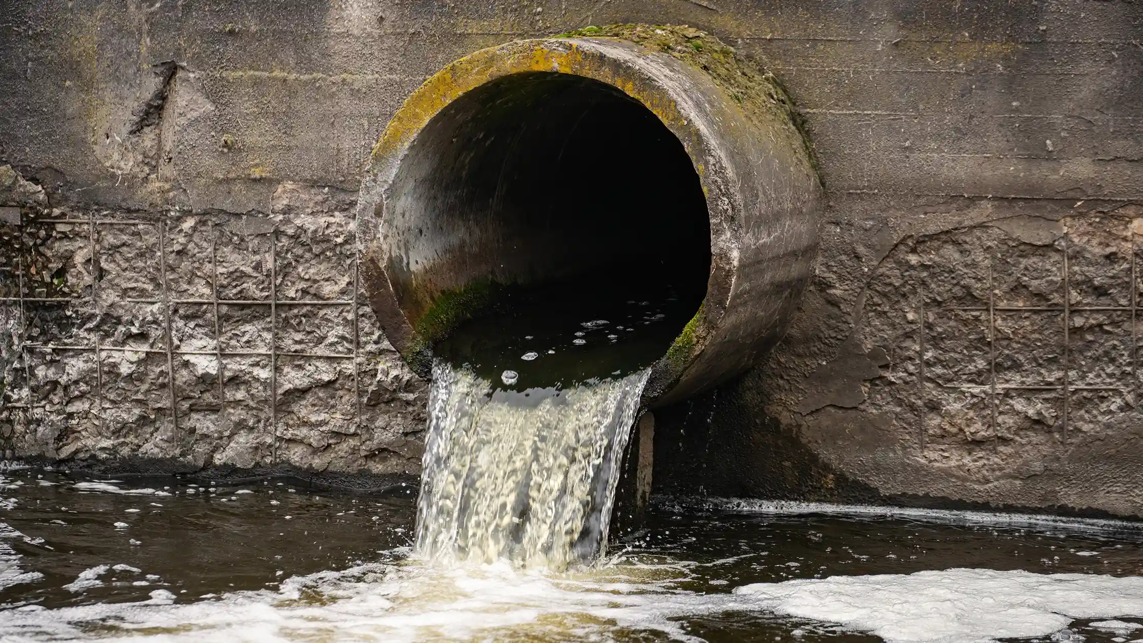 PFAS-Electronics-Statistics-Blog-Header